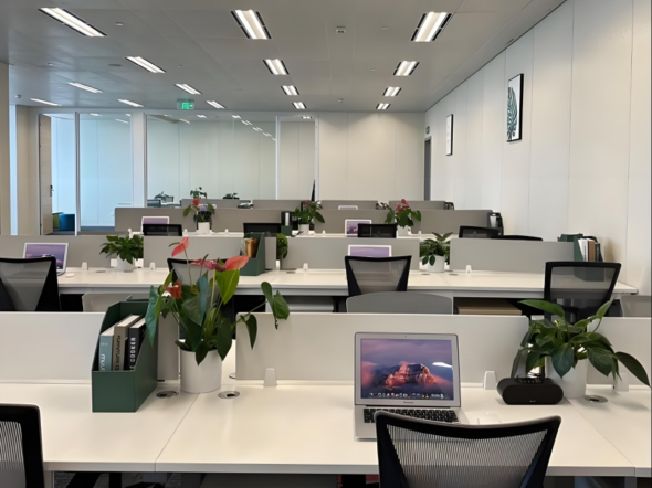 Company Profile