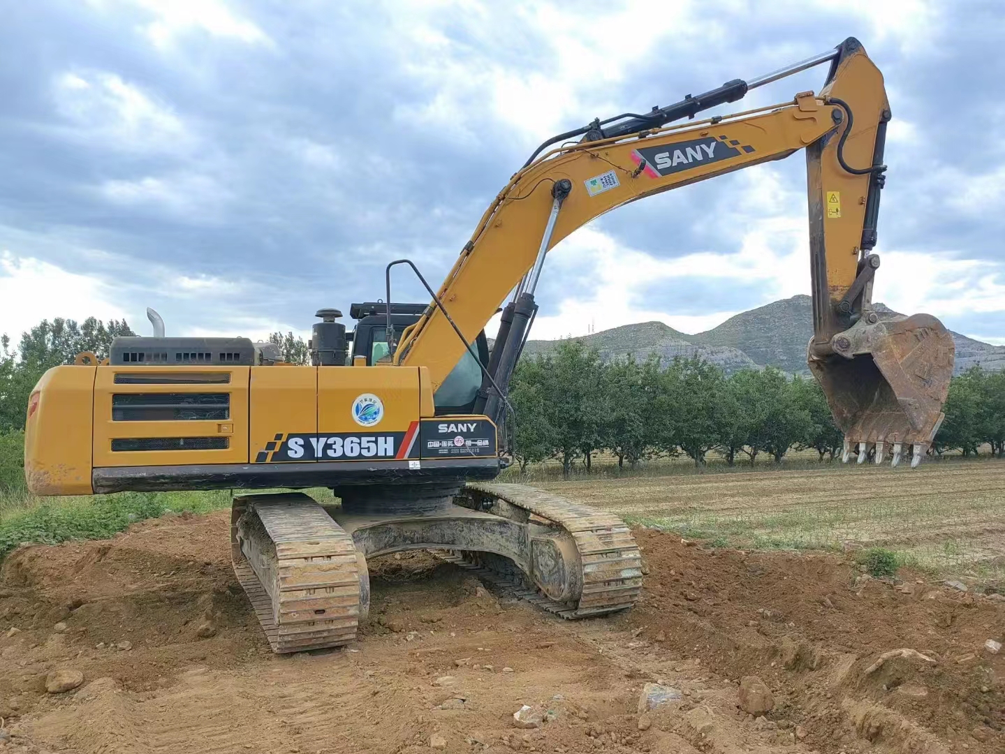 Used SANY Excavator 2021 SANY SY365H
